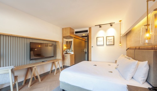 Room, 1 King Bed, Accessible