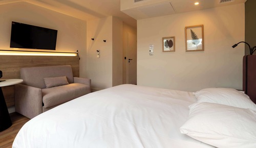 Standard Room, 1 Double Bed with Sofa bed