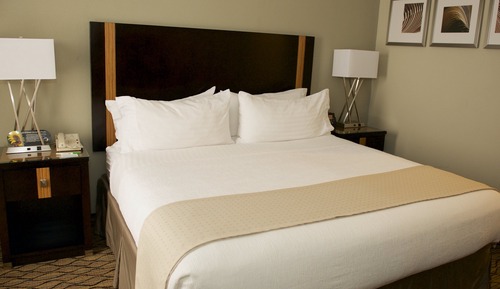 Standard Room, 1 King Bed, Roll-in Shower (Communications, Mobility)