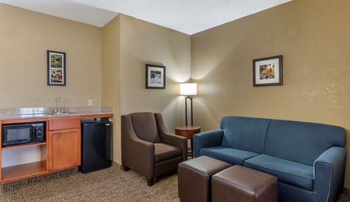 Suite, 1 King Bed with Sofa bed, Accessible, Non Smoking