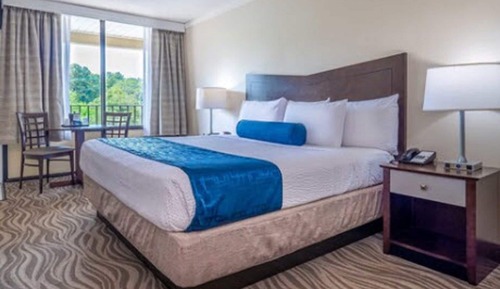 Standard Room, 1 King Bed, Lake View (Standard King Room)