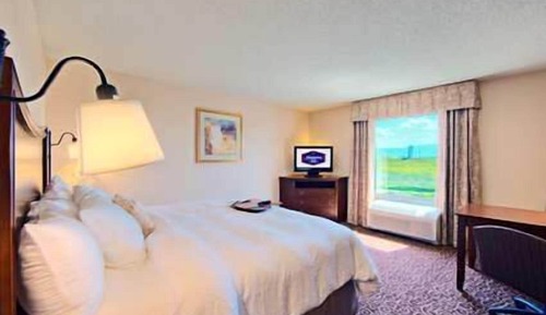 Studio Suite, 1 King Bed with Sofa bed, Non Smoking