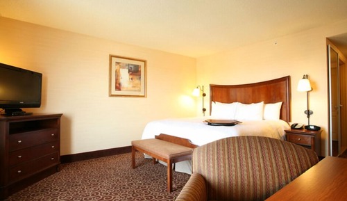 Room, 1 King Bed, Accessible