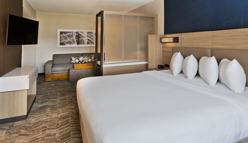 Suite, 1 King Bed with Sofa bed, Non Smoking