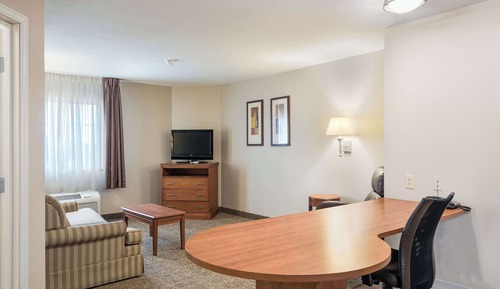 Suite, 1 King Bed with Sofa bed, Non Smoking (Efficiency)