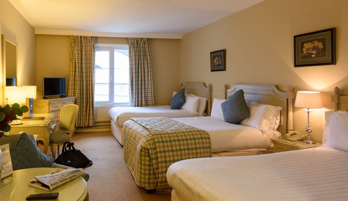 Family Room, 1 Bedroom