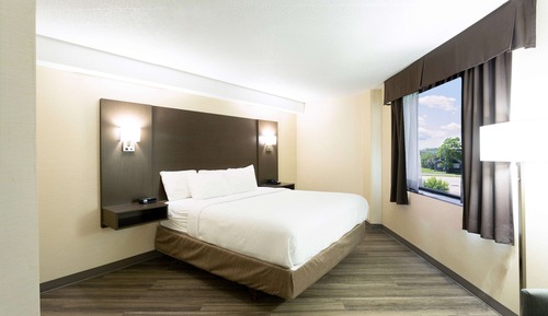 Room, 1 Queen Bed