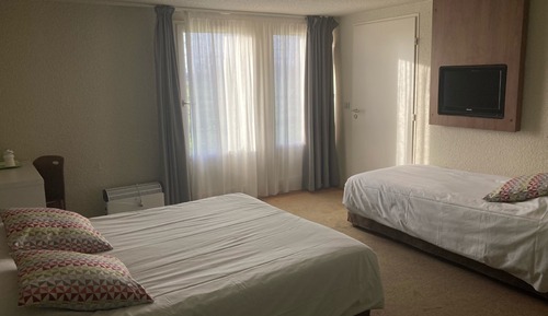 Room, 1 Twin Bed