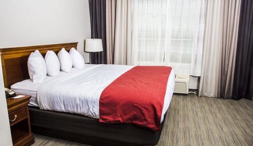 Suite, 1 Bedroom, Non Smoking