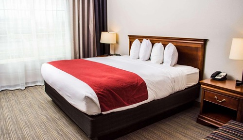 Studio Suite, 1 King Bed, Non Smoking (Pet Friendly)