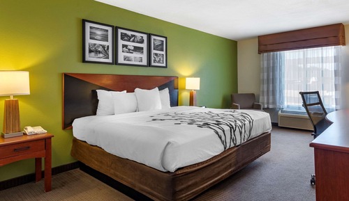 Room, 1 King Bed, Accessible, Non Smoking