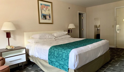 Room, 1 King Bed, Non Smoking