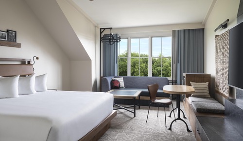 Room, 1 King Bed