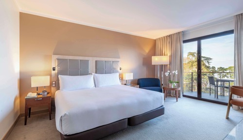 Deluxe Suite, 1 King Bed, Lake View