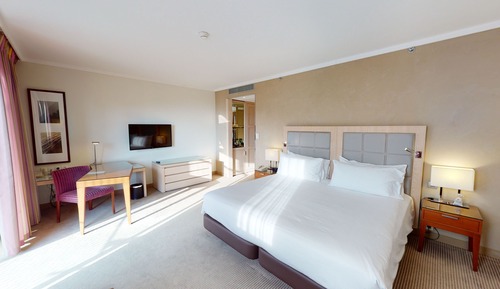 Room, 1 King Bed, Partial View