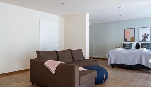 Comfort Suite with Sofa Bed