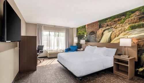 Room, 1 King Bed, Accessible, Non Smoking