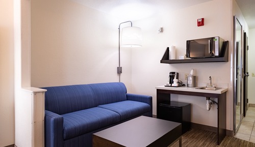 Suite, 1 King Bed, Accessible (Accessible Tub)