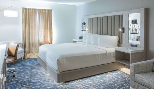 Standard Room, 1 King Bed with Sofa bed, Non Smoking