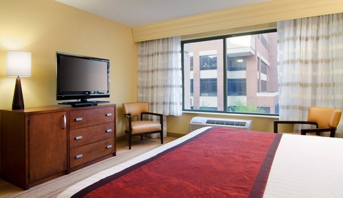 Suite, 1 Bedroom
