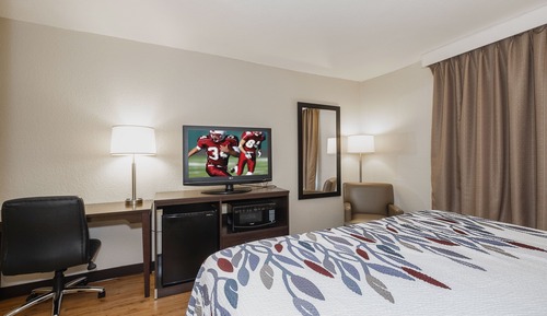 Superior Room, 1 King Bed, Non Smoking