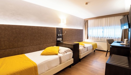Standard Twin Room