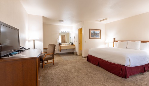 Room, 1 King Bed