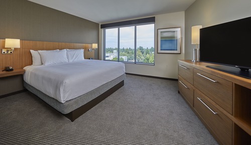 Room, 1 King Bed with Sofa bed, Accessible