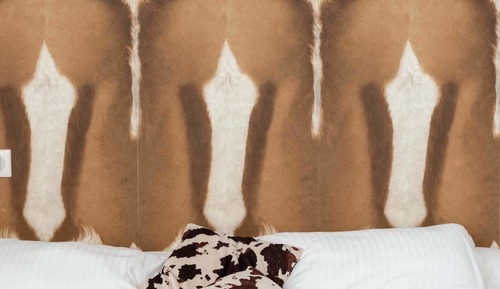 Comfort Double or Twin Room (Campagne)