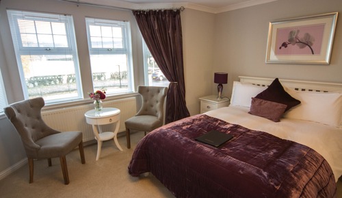 Room, 1 King Bed