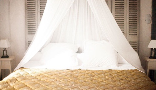 Room (Fleur Blanche)