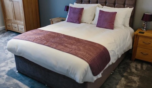Room, 1 King Bed