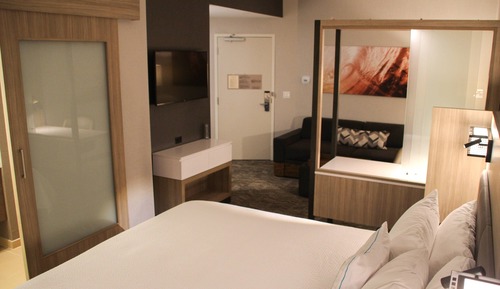 Suite, 1 King Bed with Sofa bed (Hearing Accessible)