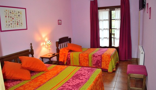 Basic Double or Twin Room