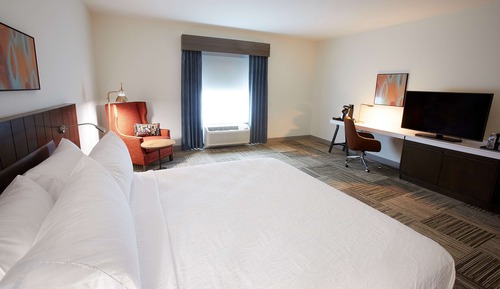 Room, 1 King Bed, Accessible (Mobility & Hearing, Roll-in Shower)