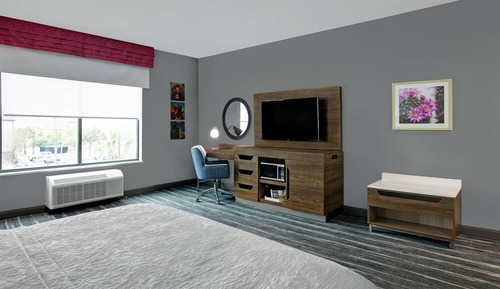 Room, 1 King Bed with Sofa bed, Accessible, Refrigerator & Microwave