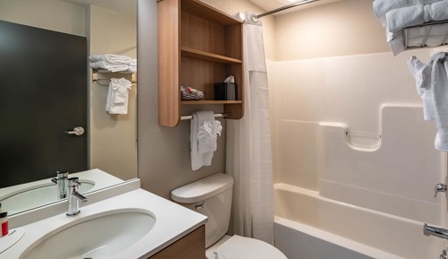 Studio Suite, 1 Queen Bed with Sofa Bed, Non Smoking