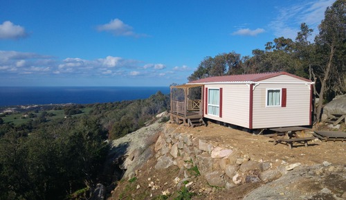 Mobile Home