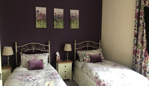 Plum Room