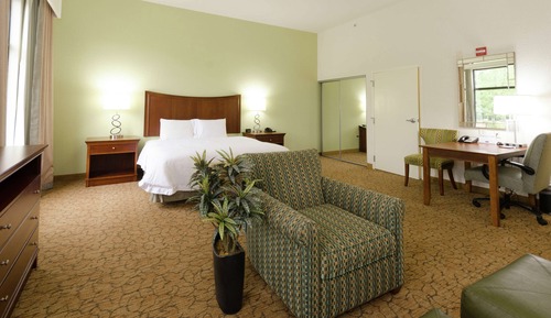 Studio, 1 King Bed, Accessible, Non Smoking (Mobility & Hearing, Roll-in Shower)