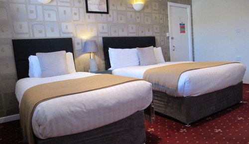 Family Twin Room