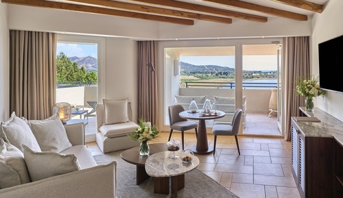 Suite, 1 King Bed with Sofa bed (View)