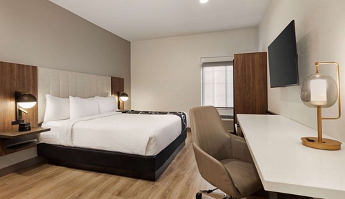 Room, 1 King Bed