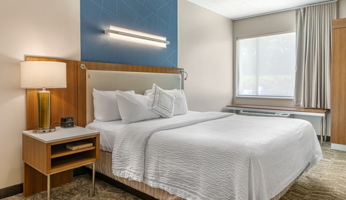 Studio, 1 King Bed with Sofa bed, Non Smoking (Mobility/Hearing Access, Roll-in Shwr)