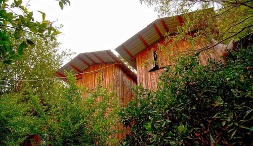 Tree House Double Use ( No Air Conditioner, No Toilet, No Bathroom in room)