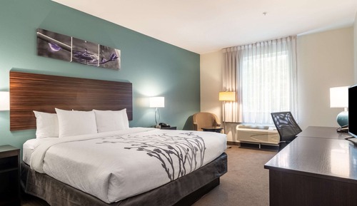 Room, 1 King Bed, Accessible, Non Smoking