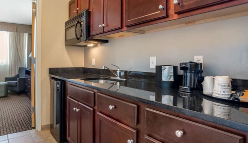 Suite, 1 King Bed, Non Smoking, Refrigerator & Microwave (with Sofabed)