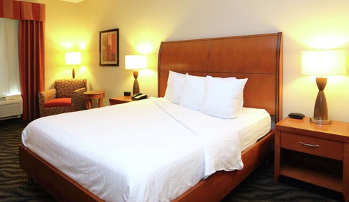 Room, 1 King Bed (Evolution)