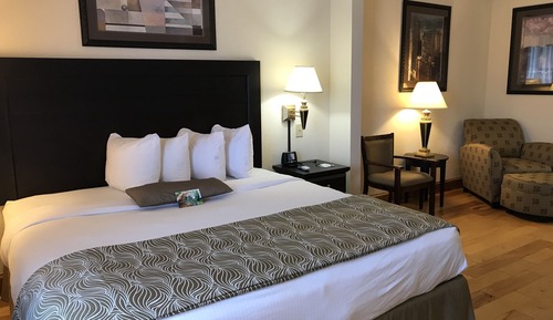 Upgraded, Standard Room, 1 King Bed, Accessible, Non Smoking