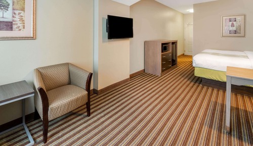 Room, 1 King Bed, Accessible, Non Smoking (Hearing, Mobility Roll-In Shower)